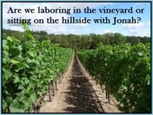 prov 18 laboring vineyard2